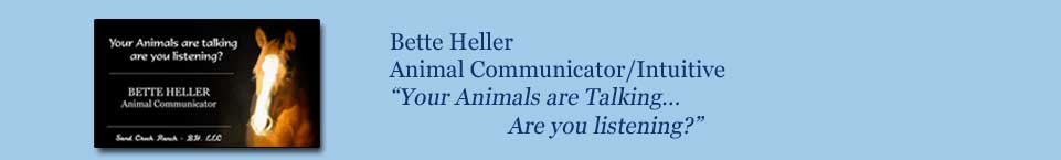 Bette Heller, Psychic/Animal Communicator
